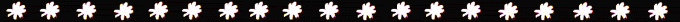 tiarei.gif - 6182 Bytes